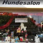 Immagine 1 azienda DOG & MORE Tiersalons in Zurich ZH