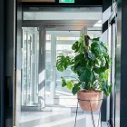 Unternehmen 7 Bild DON BARISTA Hotel-/Gastronomiegewerbe am Brig VS