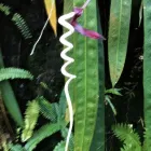 Unternehmen 3 Bild DOUDIN FRANÇOISE MASSAGES THÉRAPEUTIQUES Wellness & Spa am Carouge GE