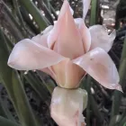 Unternehmen 4 Bild DOUDIN FRANÇOISE MASSAGES THÉRAPEUTIQUES Wellness & Spa am Carouge GE