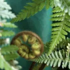 Unternehmen 1 Bild DOUDIN FRANÇOISE MASSAGES THÉRAPEUTIQUES Wellness & Spa am Carouge GE