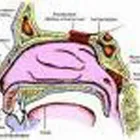 Entreprises 1 image DR. MED. GISELA PITZER Ärzte dans Zurich ZH