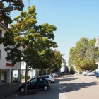 Unternehmen 7 Bild DR. MED. RENÉ MAIRE Ärzte am Männedorf ZH