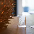 Immagine 1 azienda DR. MED. TOBIAS WETTSTEIN Ärzte in Zürich ZH