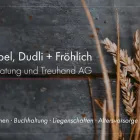 Entreprises 4 image DR. STREBEL, DUDLI + FRÖHLICH STEUERBERATUNG UND TREUHAND AG Treuhänder, Treuhandgesellschaften dans Zürich ZH