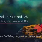 Entreprises 6 image DR. STREBEL, DUDLI + FRÖHLICH STEUERBERATUNG UND TREUHAND AG Treuhänder, Treuhandgesellschaften dans Zürich ZH