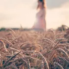 Immagine 4 azienda DREAM BABY Unternehmensberater, Organisationsberater in Hunzenschwil AG