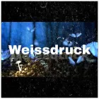 Immagine 2 azienda DRUCKHUUS GMBH Fotokopieranstalten, Lichtpausanstalten in Zürich ZH