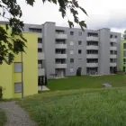 Entreprises 8 image DW KONZEPTBAU AG Putzarbeiten, Stuckarbeiten dans Döttingen AG