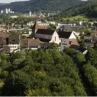 Entreprises 1 image EDELMANN IMMOBILIEN AG Treuhänder, Treuhandgesellschaften dans Bad Zurzach AG