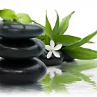 Unternehmen 1 Bild ELCA KOSMETIK & AYURVEDA BASEL Massageinstitute am Basel BL