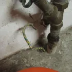 Immagine 1 azienda ELKONA Energie/Wasserwirtschaft in Meisterschwanden AG