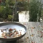 Entreprises 6 image EPPRECHTARCHITEKTEN SIA HTL AG Baudienstleistungen dans Olten SO