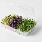 Entreprises 10 image ESPRO SPROSSEN Nahrungs-/Genussmittel dans Uetendorf BE