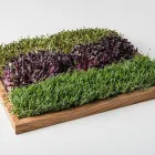 Entreprises 11 image ESPRO SPROSSEN Nahrungs-/Genussmittel dans Uetendorf BE