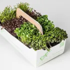 Entreprises 7 image ESPRO SPROSSEN Nahrungs-/Genussmittel dans Uetendorf BE