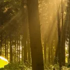 Immagine 2 azienda EW ROMANSHORN Wohnungsmarkt in Romanshorn TG