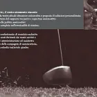 Unternehmen 1 Bild FINARDI & PARTNERS Versicherungswesen am Lugano TI