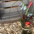 Unternehmen 14 Bild FLORILÈGE LAUSANNE Garten/Pflanzen am Lausanne VD
