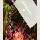 Unternehmen 15 Bild FLORILÈGE LAUSANNE Garten/Pflanzen am Lausanne VD