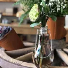 Unternehmen 17 Bild FLORILÈGE LAUSANNE Garten/Pflanzen am Lausanne VD