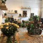 Unternehmen 11 Bild FLORILÈGE LAUSANNE Garten/Pflanzen am Lausanne VD