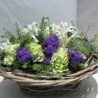 Immagine 2 azienda FLORISTIK NATÜRLICH Garten/Pflanzen in Wald Zh ZH