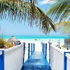 Entreprises 10 image FLUGBÖRSE PATTAKI Transport/Verkehr/Tourismus dans Berne BE