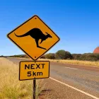 Entreprises 5 image FLUGBÖRSE PATTAKI Transport/Verkehr/Tourismus dans Berne BE