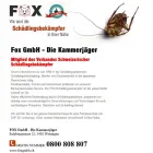 Entreprises 4 image FOX GMBH DIE KAMMERJÄGER Schädlingsbekämpfungsunternehmen dans Wettingen AG