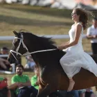 Unternehmen 26 Bild FRANCHES-MONTAGNES DÉCOUVERTE SARL Web-Designer am Saignelégier JU