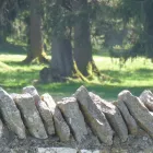 Unternehmen 27 Bild FRANCHES-MONTAGNES DÉCOUVERTE SARL Web-Designer am Saignelégier JU