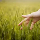 Unternehmen 4 Bild FRANCHES-MONTAGNES DÉCOUVERTE SARL Web-Designer am Saignelégier JU