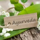 Unternehmen 15 Bild FRANCHES-MONTAGNES DÉCOUVERTE SARL Web-Designer am Saignelégier JU