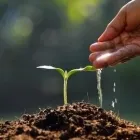 Unternehmen 17 Bild FRANCHES-MONTAGNES DÉCOUVERTE SARL Web-Designer am Saignelégier JU