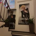 Immagine 5 azienda FRANCOIFFEUR Kosmetik/Körperpflege in Lugano TI