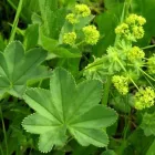 Entreprises 3 image FRAUKE PETER KINESIOLOGIE - GESUNDHEIT - ENTWICKLUNG Ärzte dans Neftenbach ZH