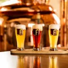 Immagine 1 azienda FREIHOF AG BRAUEREI & HOFSTUBE Nahrungs-/Genussmittel in Gossau Sg SG