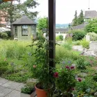 Immagine 75 azienda GASSER GARTENBAU & LANDSCHAFTSBAU AG Land-/Forstwirtschaft/Fischerei in Basel BL