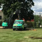 Immagine 93 azienda GASSER GARTENBAU & LANDSCHAFTSBAU AG Land-/Forstwirtschaft/Fischerei in Basel BL