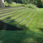 Immagine 10 azienda GASSER GARTENBAU & LANDSCHAFTSBAU AG Land-/Forstwirtschaft/Fischerei in Basel BL