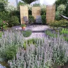 Immagine 61 azienda GASSER GARTENBAU & LANDSCHAFTSBAU AG Land-/Forstwirtschaft/Fischerei in Basel BL