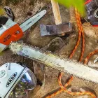Immagine 3 azienda GECKOS BAUMPFLEGE ADRIAN BISLIN Land-/Forstwirtschaft/Fischerei in Allschwil BL