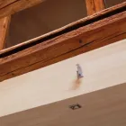 Unternehmen 1 Bild GEISSMANN HANS AG Zimmerarbeiten, Holzbauarbeiten am Hägglingen AG