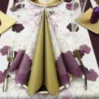 Immagine 2 azienda GEISSMANN PAPIER AG Produktion und Vertrieb von Gastronomiebedarf in Dottikon AG