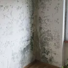 Unternehmen 6 Bild GIESSER AG Malerbetriebe am Langenthal BE