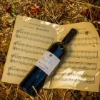 Entreprises 28 image GIL VINS TROUVAILLES DE FRANCE Weinkellereien dans Birmensdorf Zh ZH