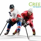 Entreprises 3 image GREENICE GMBH Sportanlagen, Freizeitanlagen dans Laufen BL