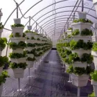 Unternehmen 3 Bild GROWBOX WR DESIGN & TRADE GMBH Gartengeräte, Landgeräte Einzelhandel am Uetendorf BE