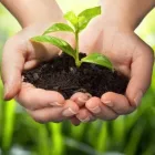 Unternehmen 4 Bild GROWBOX WR DESIGN & TRADE GMBH Gartengeräte, Landgeräte Einzelhandel am Uetendorf BE